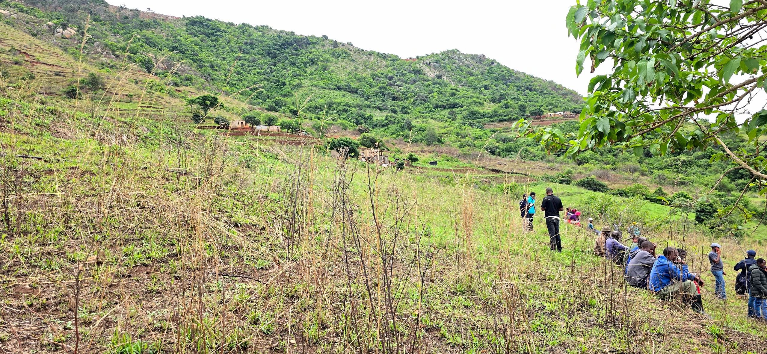 AMP Eswatini extends bid submission deadline for Bulimeni Minigrid RFP